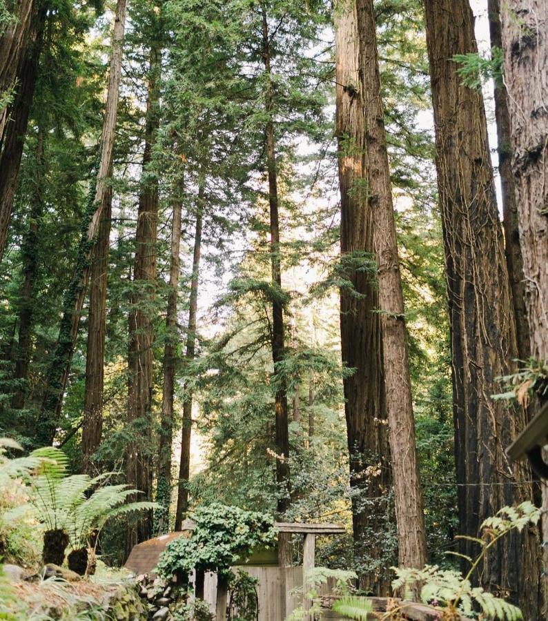 Villa Sur Grove Big Sur Esterno foto